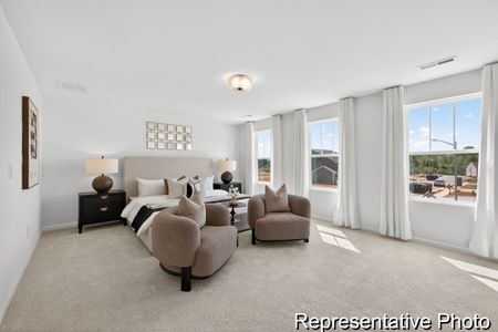 New construction Single-Family house 104 Benson Village Dr, Unit 32, Benson, NC 27504 plan The Whitney - image 11