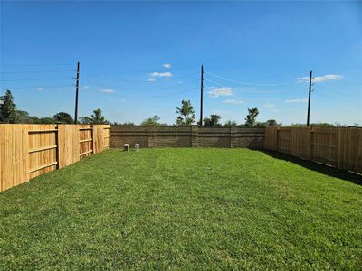 New construction Single-Family house 1110 Pecan Harvest Dr, Beasley, TX 77417 Whitetail- photo 3 3