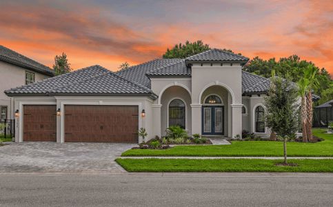 New construction Single-Family house 8201 Tilapia Pl, New Port Richey, FL 34654 plan The Villa Toscana - image