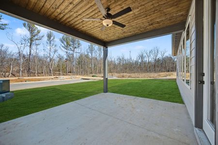 New construction Single-Family house 1035 Fortitude Trl, Chattanooga, TN 37421 plan Devonshire - image 3