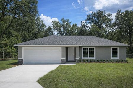 New construction Single-Family house 32 Olive Circle Lp, Ocala, FL 34472 - image