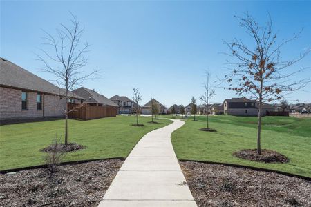 New construction Single-Family house 13033 Mizell Ln, Providence Village, TX 76227 Premier Series - Juniper- photo 19 19