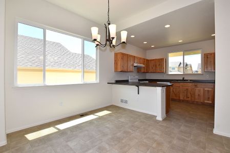 New construction Single-Family house 437 Vivid Ln, Windsor, CO 80550 null- photo 11 11