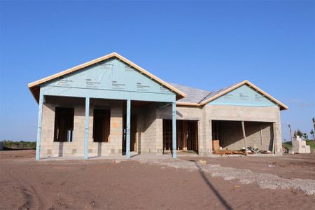 New construction Single-Family house 18057 Foxtail Lp, Venice, FL 34293 plan The Borrelli - image