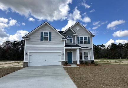 New construction Single-Family house 522 Doctor's Creek Rd, Unit 195, Ludowici, GA 31316 plan The Sunbury - image