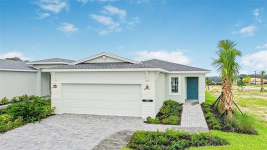 New construction Single-Family house 570 Hammock Oaks Blvd, Lady Lake, FL 32159 plan Ana - image
