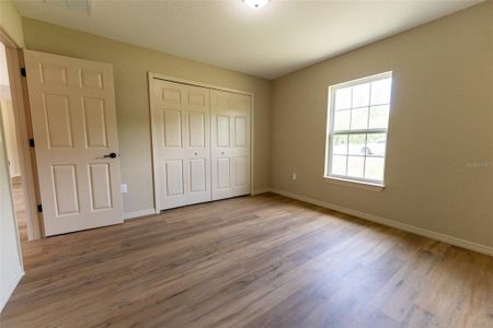 New construction Single-Family house 91 Malauka Radl, Ocklawaha, FL 32179 - image 19