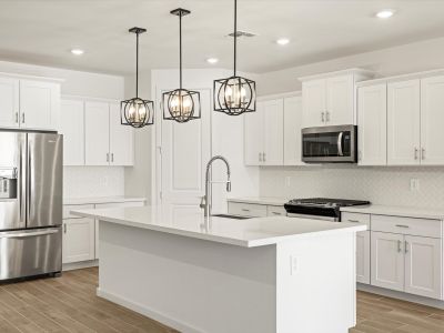 New construction Single-Family house 8439 W Saratoga Wy, Florence, AZ 85132 plan Arlo - image