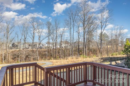 New construction Single-Family house 3013 Haley Cir, Davidson, NC 28036 null- photo 35 35