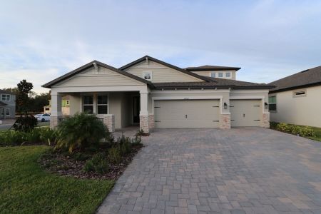 New construction Single-Family house 20112 Oriana Loop, Land O' Lakes, FL 34638 Corina  III Bonus- photo 116 116