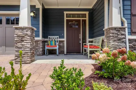 New construction Single-Family house 21 Craftsman Overlook Rdg, Arden, NC 28704 - image