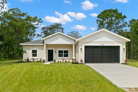 New construction Single-Family house 16175 Dusky Sparrow Road, Brooksville, FL 34614 - photo 0