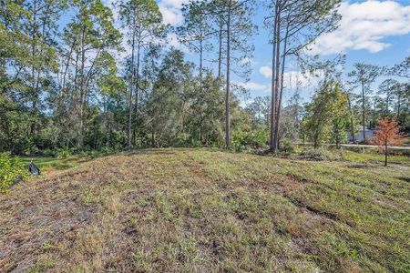 New construction Single-Family house 2825 Cypress Road, Deland, FL 32724 Anna Maria- photo 22 22