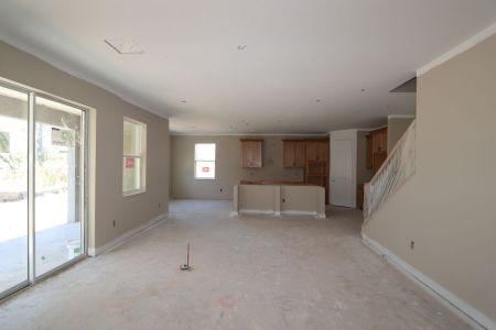 New construction Single-Family house 20125 Oriana Loop, Land O' Lakes, FL 34638 Santina II- photo 90 90