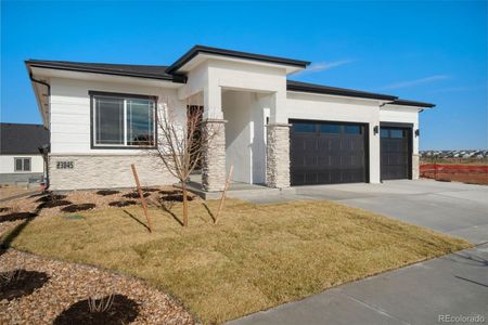 New construction Single-Family house 23845 River Front Dr, Aurora, CO 80019 Sophia- photo 0