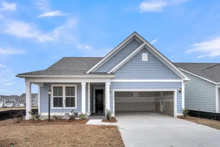 New construction Single-Family house 321 Abercom Place Dr, Moncks Corner, SC 29461 Elliott - photo 0
