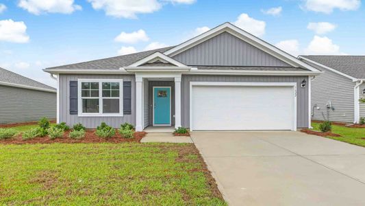 New construction Single-Family house 1220 Inner Banks Ln, Jacksonville, NC 28546 plan ARIA - image