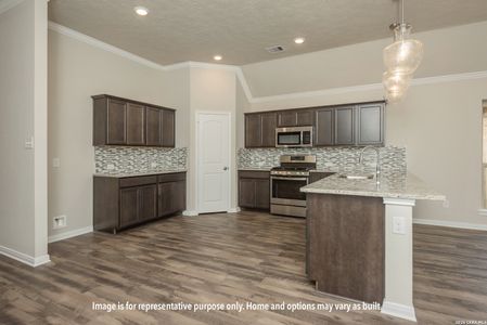 New construction Single-Family house 424 Honeydew Wy, Seguin, TX 78155 plan The 2082 - image