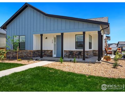 New construction Single-Family house 3449 Green Lake Dr Ft, Fort Collins, CO 80524 - image