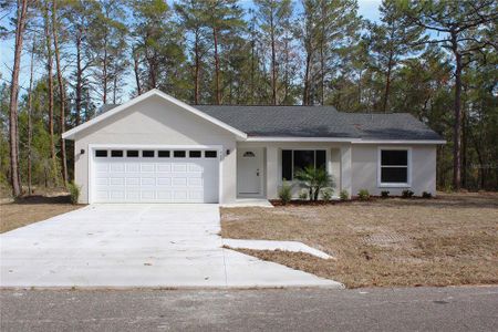 New construction Single-Family house 15 Fisher Way Pl, Ocklawaha, FL 32179 - image
