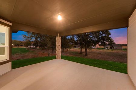 New construction Single-Family house 1128 Trinity Dr, Springtown, TX 76082 Colca II FE- photo 28 28