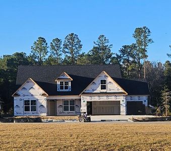 New construction Single-Family house 313 Tack House Rd, Huger, SC 29450 Asheboro- photo 0