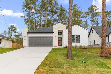 New construction Single-Family house 12161 La Salle River Rd, Conroe, TX 77304 - image