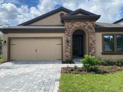 New construction Single-Family house 13113 Homestead Lane, Parrish, FL 34219 - photo 0