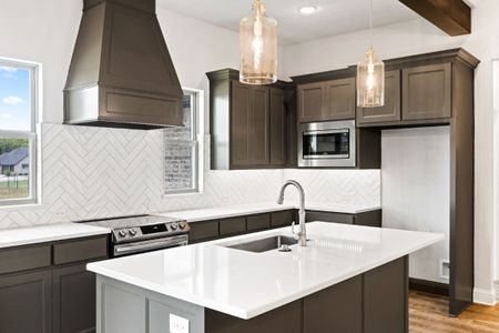 New construction Single-Family house 131 Spring Valley Rd, Paradise, TX 76073 plan The Wilder - image 6