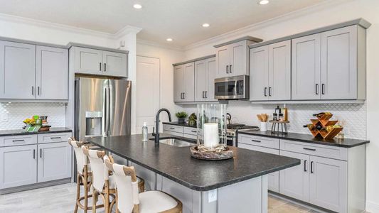 New construction Single-Family house 2440 Star Apple Wy, Lakewood Ranch, FL 34240 plan Triumph - image 5