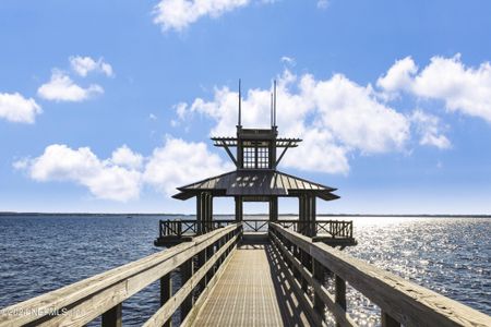 New construction Single-Family house 122 Voysey Pl, St. Johns, FL 32259 null- photo 59 59