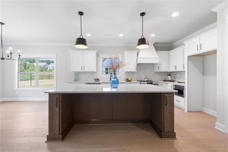 New construction Single-Family house 1570 Legend Dr, Greensboro, GA 30642 - image 13