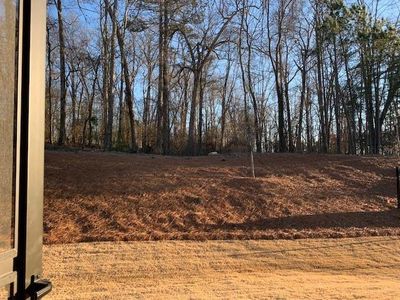 New construction Single-Family house 207 Hickory Bluffs Pkwy, Canton, GA 30114 Camden- photo 11 11