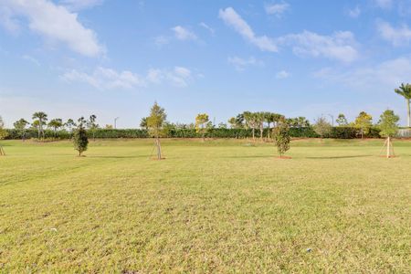 New construction Single-Family house 10245 Sw Captiva Dr, Port St. Lucie, FL 34987 null- photo 38 38