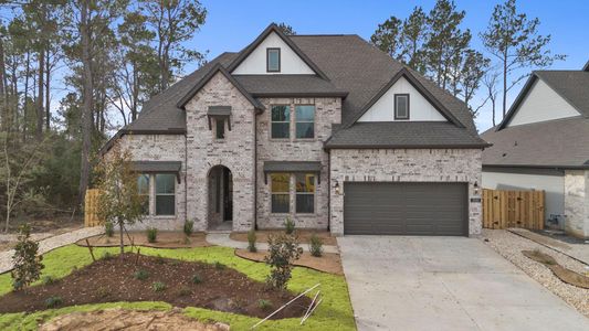 New construction Single-Family house 1757 Howler Wy, Montgomery, TX 77316 plan Richwood - image