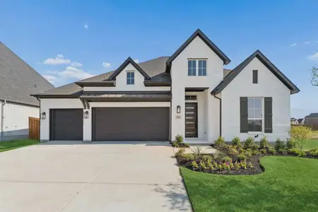 New construction Single-Family house 212 Bee Balm Rd, McKinney, TX 75071 plan Sweetwater II - image