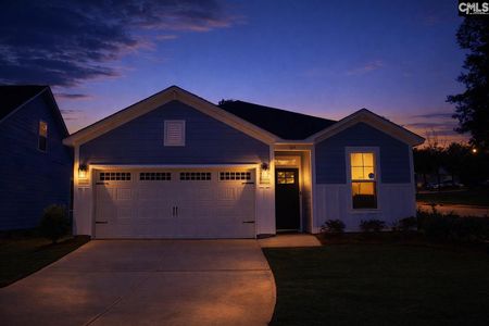 New construction Single-Family house 104 Locomotive Ln, Irmo, SC 29063 - image