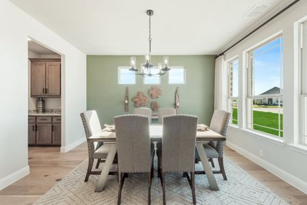 The Enclave at Parks of Aledo by Bloomfield Homes in Aledo - photo 27 27