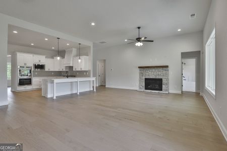 New construction Single-Family house 36 Starr Place, Newnan, GA 30263 Harris F- photo 20 20