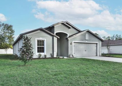 Marion Oaks by LGI Homes in Ocala - photo 8 8