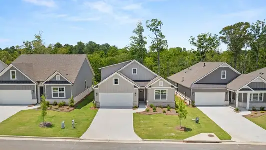 New construction Single-Family house 55 Lakeview Pt, Dallas, GA 30157 BRISTOL- photo 0