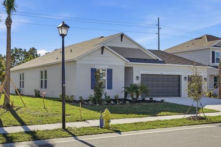 New construction Single-Family house 2124 Babbling Brook Blvd, Auburndale, FL 33823 plan Grenada - image