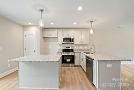 New construction Single-Family house 1204 Onset Pl, Unit 27, Monroe, NC 28110 - image 9