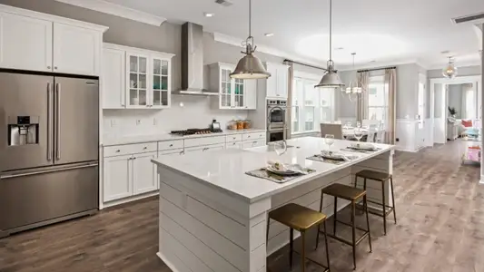 New construction Single-Family house 992 Scotch Bonnet Wy, Summerville, SC 29485 plan CALHOUN - image