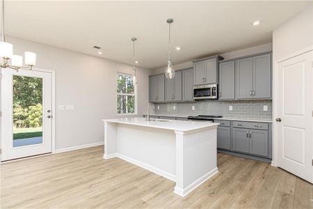 New construction Single-Family house 326 Cavalier Ln, Acworth, GA 30102 plan The Fenton - image