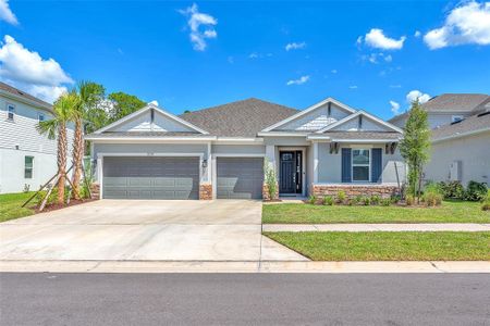 New construction Single-Family house 33372 Landsman Lp, Wesley Chapel, FL 33543 - image