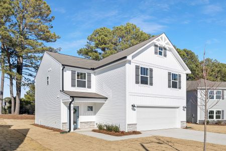 New construction Single-Family house 216 Horseshoe Pl, Angier, NC 27501 The Aria- photo 25 25