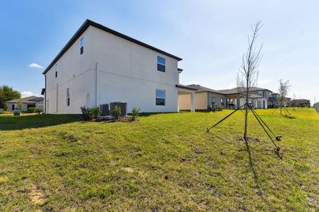 New construction Single-Family house 12219 Hilltop Farms Dr, Dade City, FL 33525 Malibu- photo 273 273