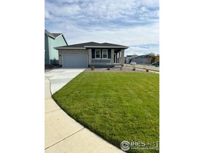 New construction Single-Family house 6020 Autumn Breeze Ct, Fort Collins, CO 80528 Newport- photo 0