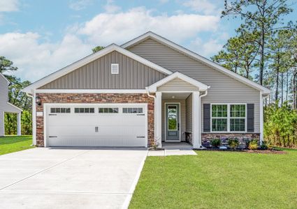 New construction Single-Family house 26 Hibiscus Dr, Hampstead, NC 28443 plan Blanco - image